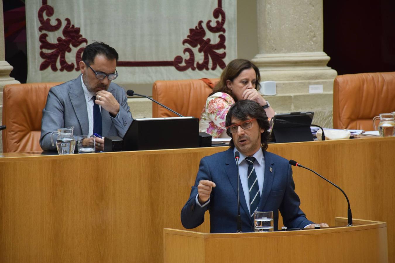 Sesión plenaria en el Parlamento de La Rioja. 