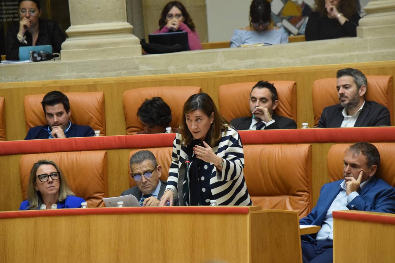 Sesión plenaria en el Parlamento de La Rioja. 