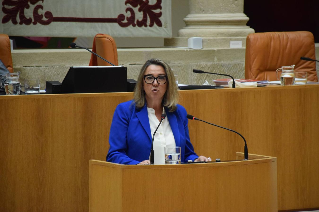 Sesión plenaria en el Parlamento de La Rioja. 