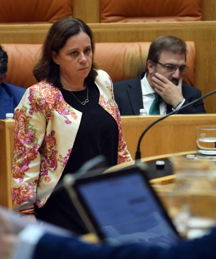 Sesión plenaria en el Parlamento de La Rioja. 