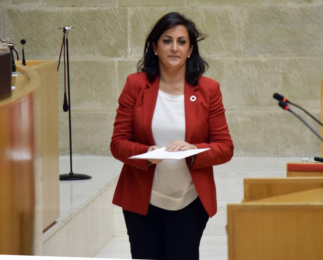 Sesión plenaria en el Parlamento de La Rioja. 