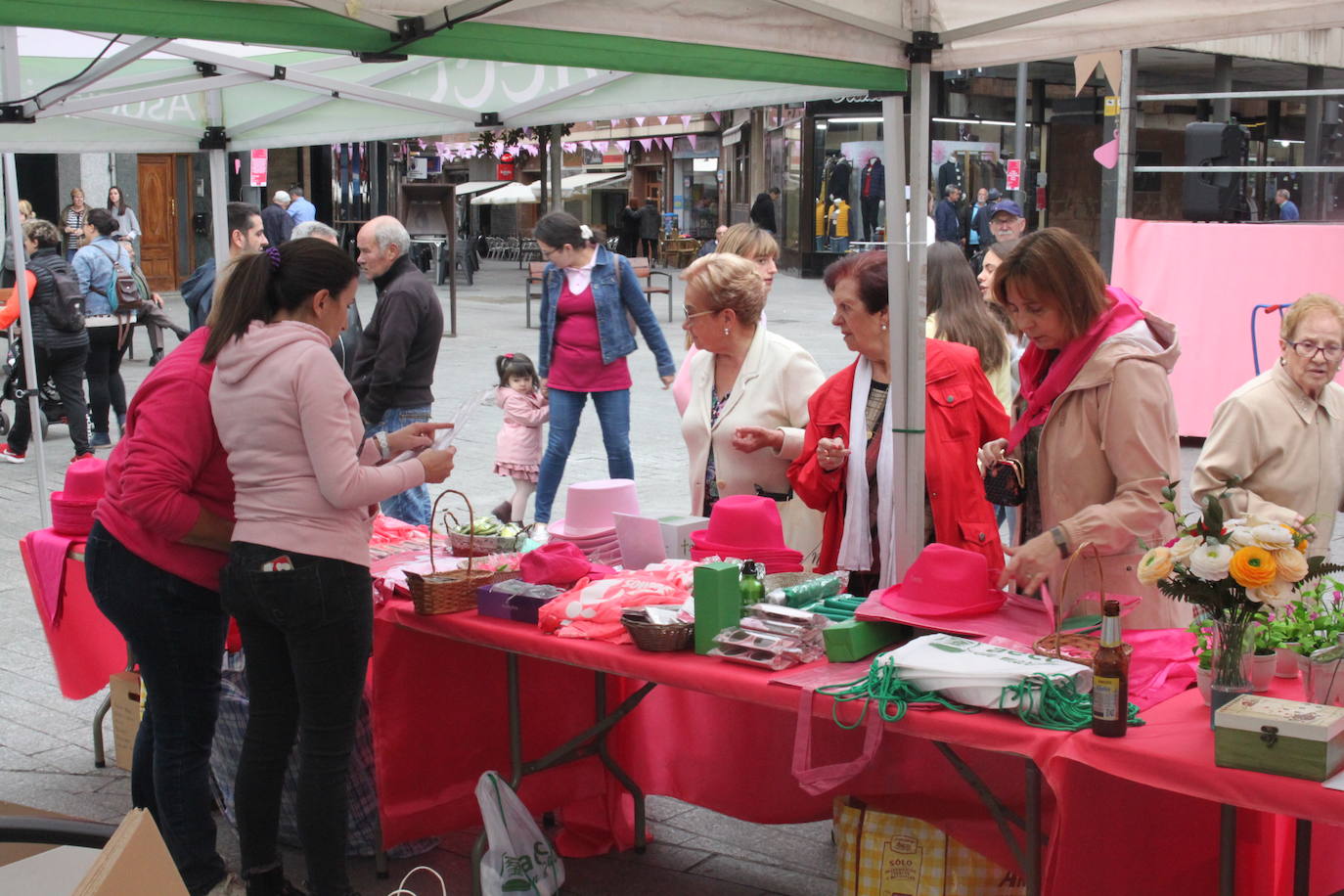 Arnedo se ha teñido de rosa en una mañana que ha reunido a público de todas las edades