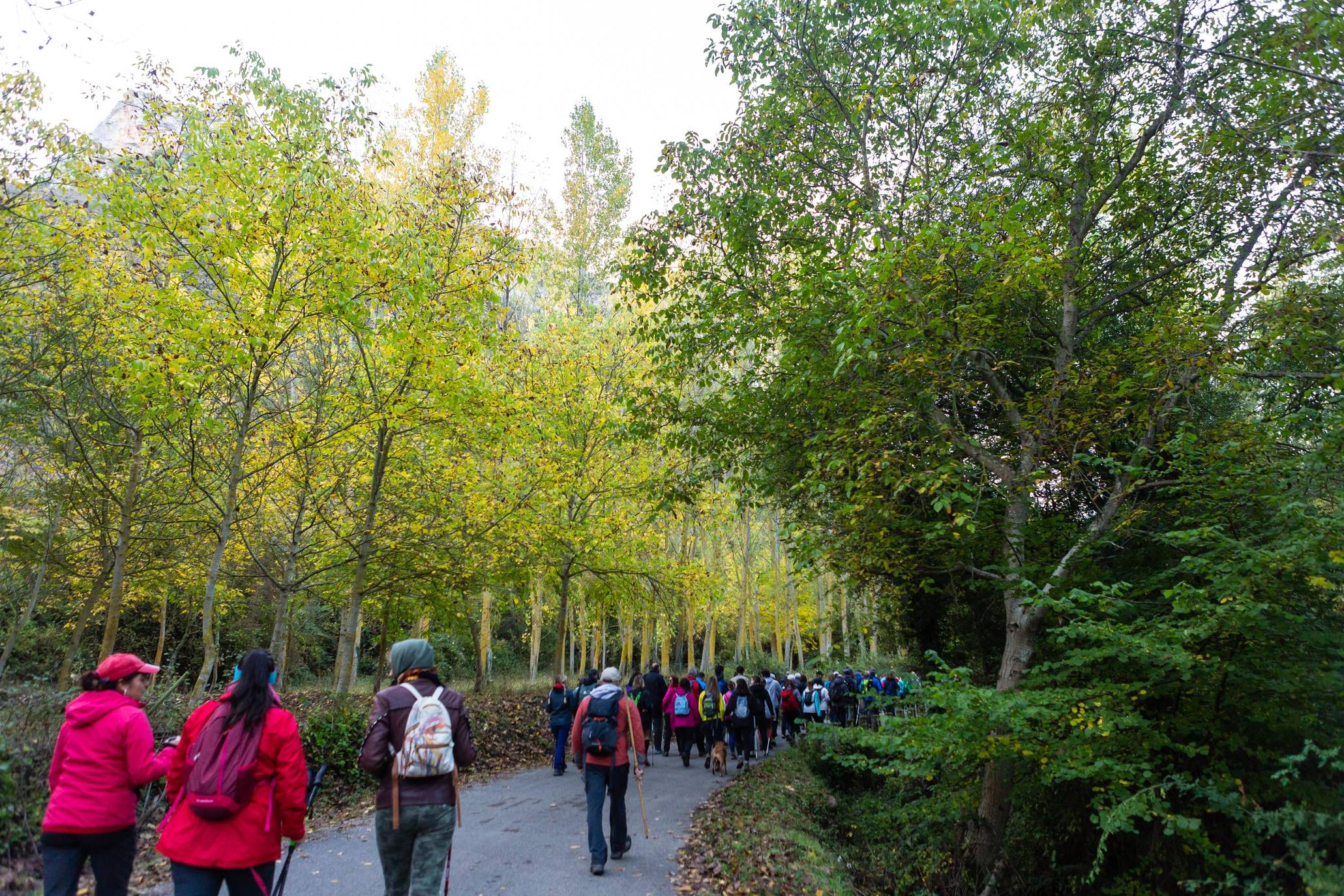 La marcha otoñal ha reunido a 450 senderistas 