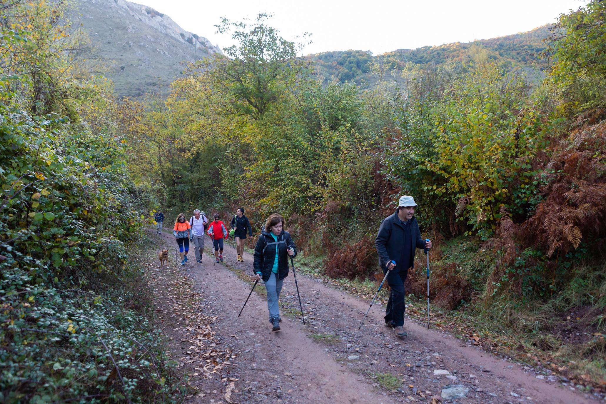 La marcha otoñal ha reunido a 450 senderistas 