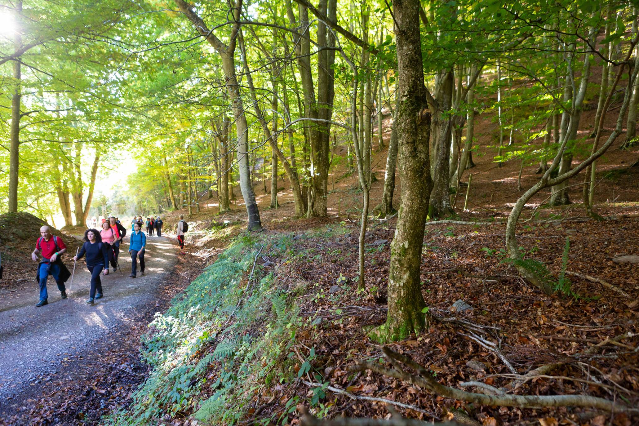 La marcha otoñal ha reunido a 450 senderistas 