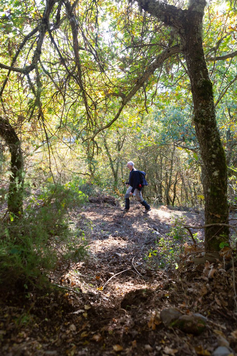 La marcha otoñal ha reunido a 450 senderistas 