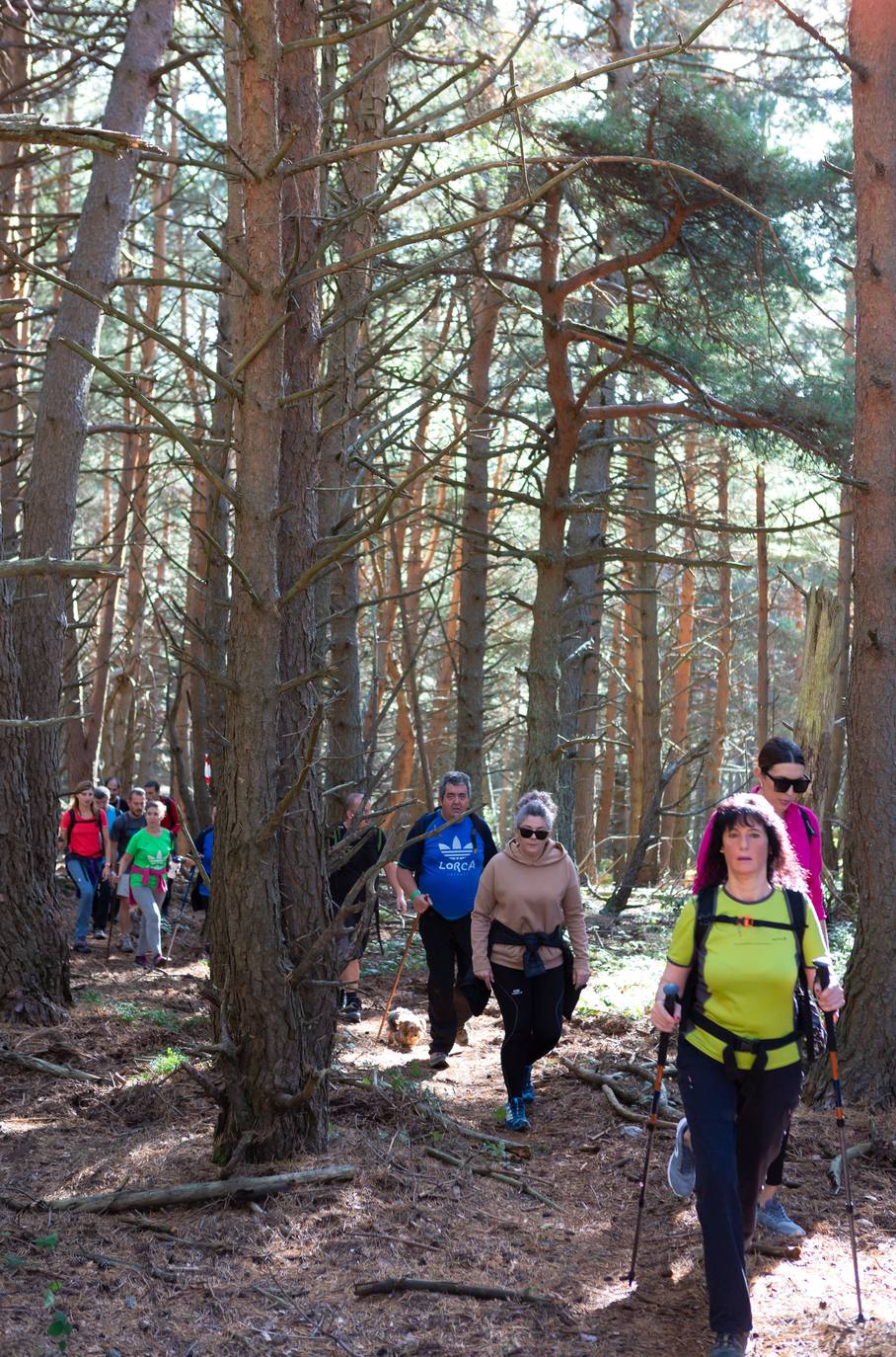 La marcha otoñal ha reunido a 450 senderistas 