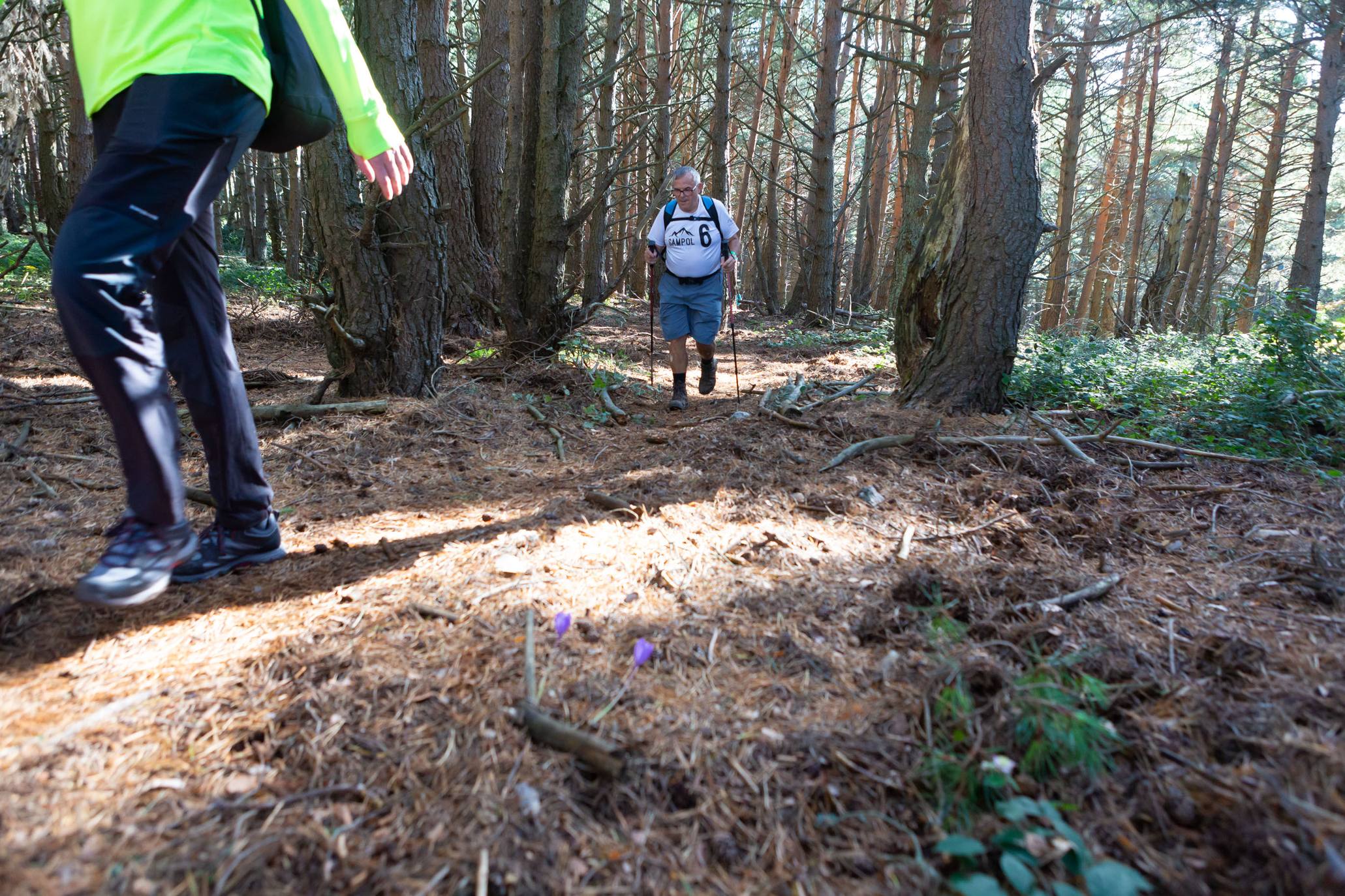 La marcha otoñal ha reunido a 450 senderistas 