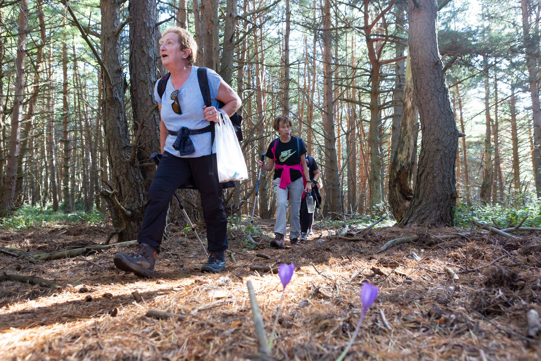 La marcha otoñal ha reunido a 450 senderistas 