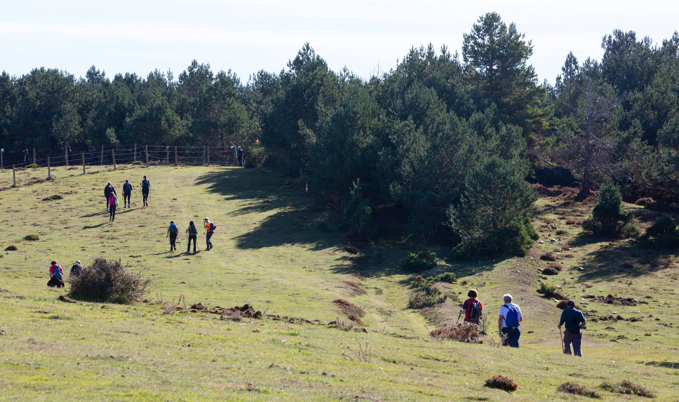 La marcha otoñal ha reunido a 450 senderistas 