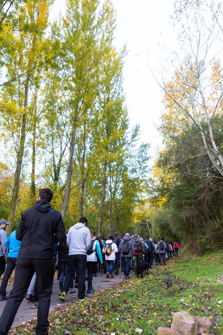 La marcha otoñal ha reunido a 450 senderistas 