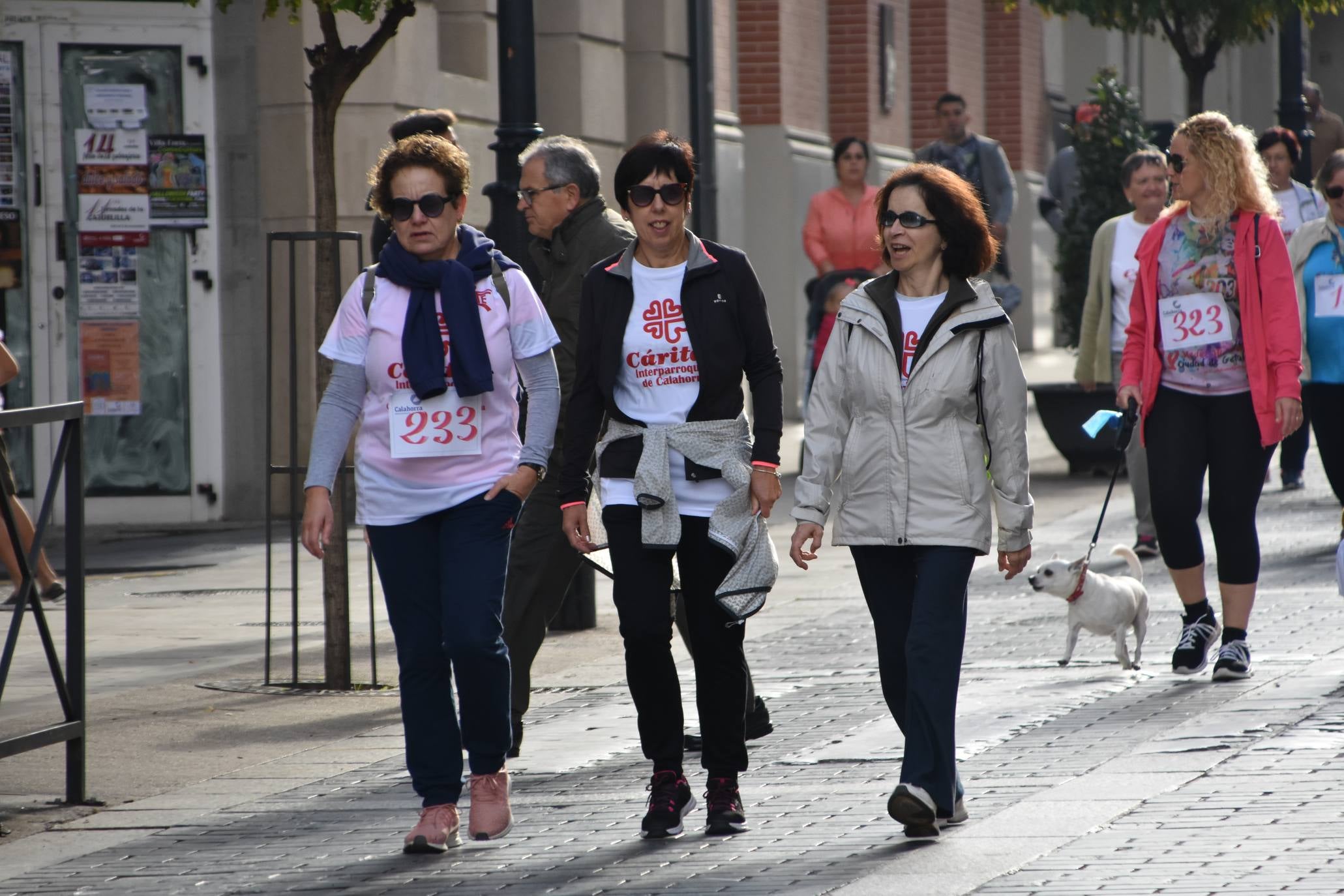 343 personas participaron en la marcha