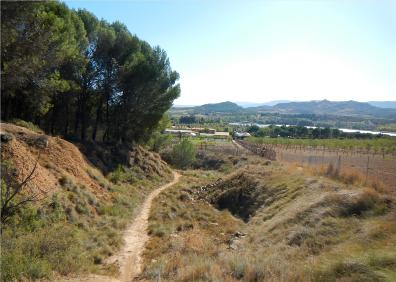 Imagen secundaria 1 - Tres imágnes de algunas de las sendas que forman el circuito de La Grajera