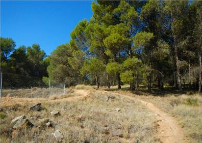 Imagen secundaria 1 - Vista de La Grajera desde la parte superior del circuito y otras dos zonas de sendero