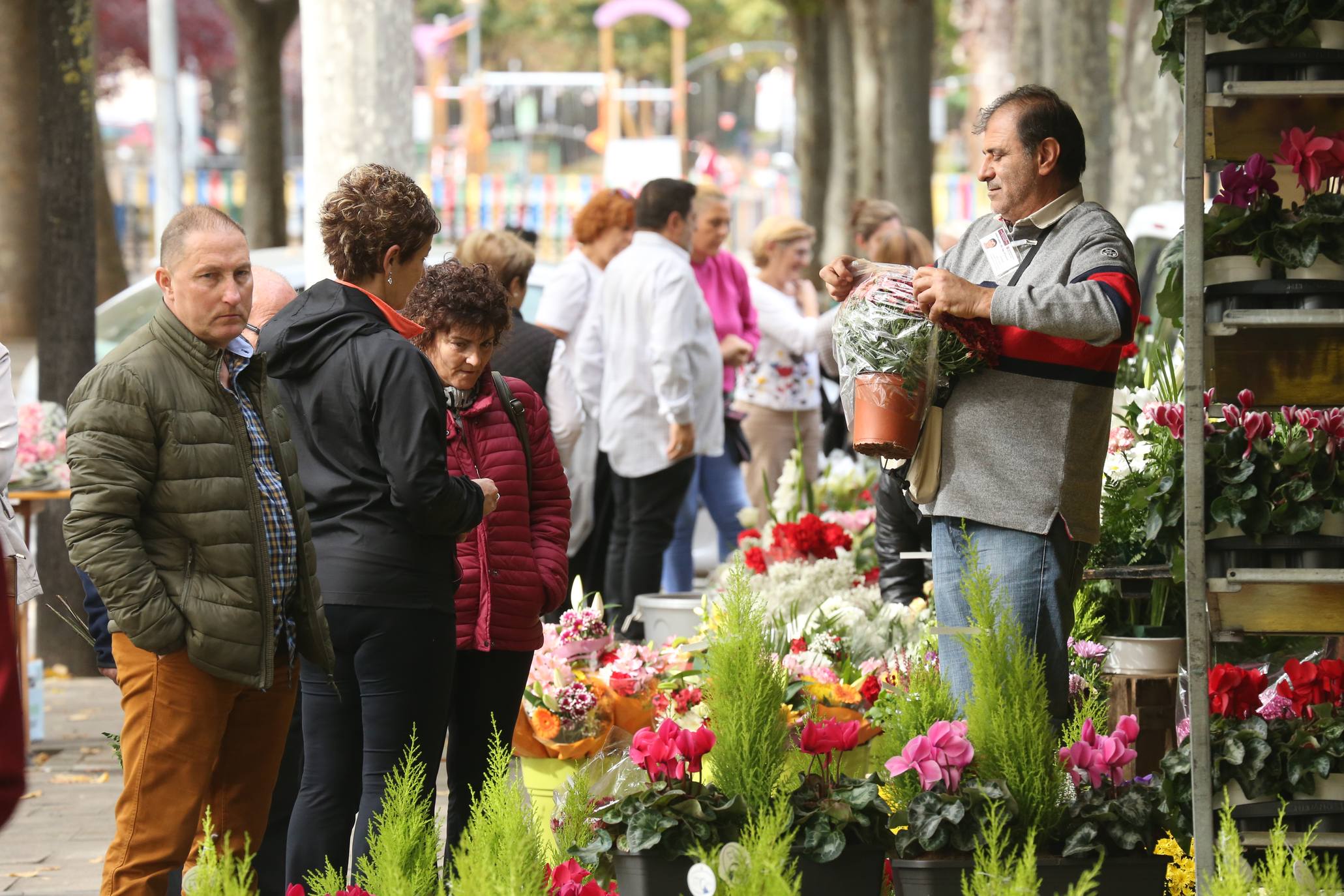 La plaza Joaquín Elizalde acoge, como cada año, el tradicional mercado de las flores del Día de Todos los Santos.