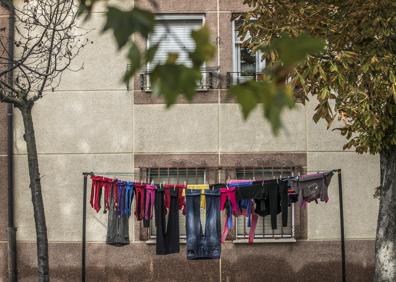 Imagen secundaria 1 - La España vaciada empieza en El Cortijo