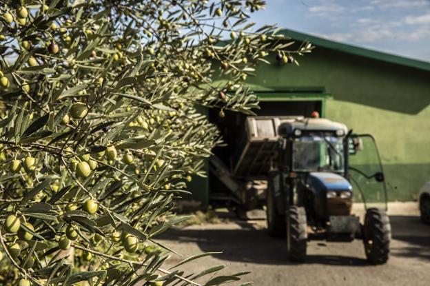 Parte de los frutos que componen la cosecha riojana. :: justo rodríguez