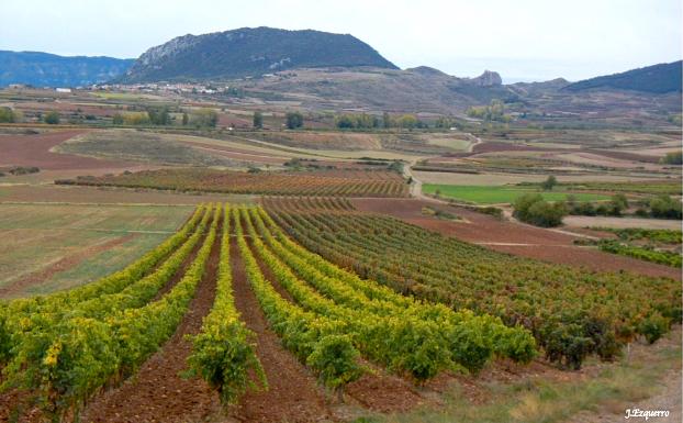 Imagen principal - Vista de la subida a Clavijo desd Alberite, monte Laturce y ermita de Santiago, y sendero de bajada a San Prudencio