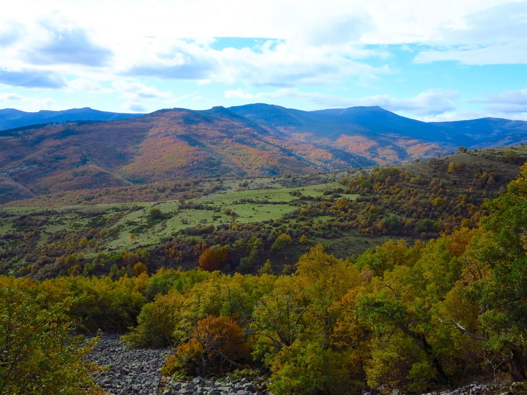 Con el temporal arreciando, el otoño da sus últimos suspiros en los Cameros riojanos dejando como testimonio bonitas estampas de bosques encendidos en llamativos colores. Un lujo para el paseo y la fotografía