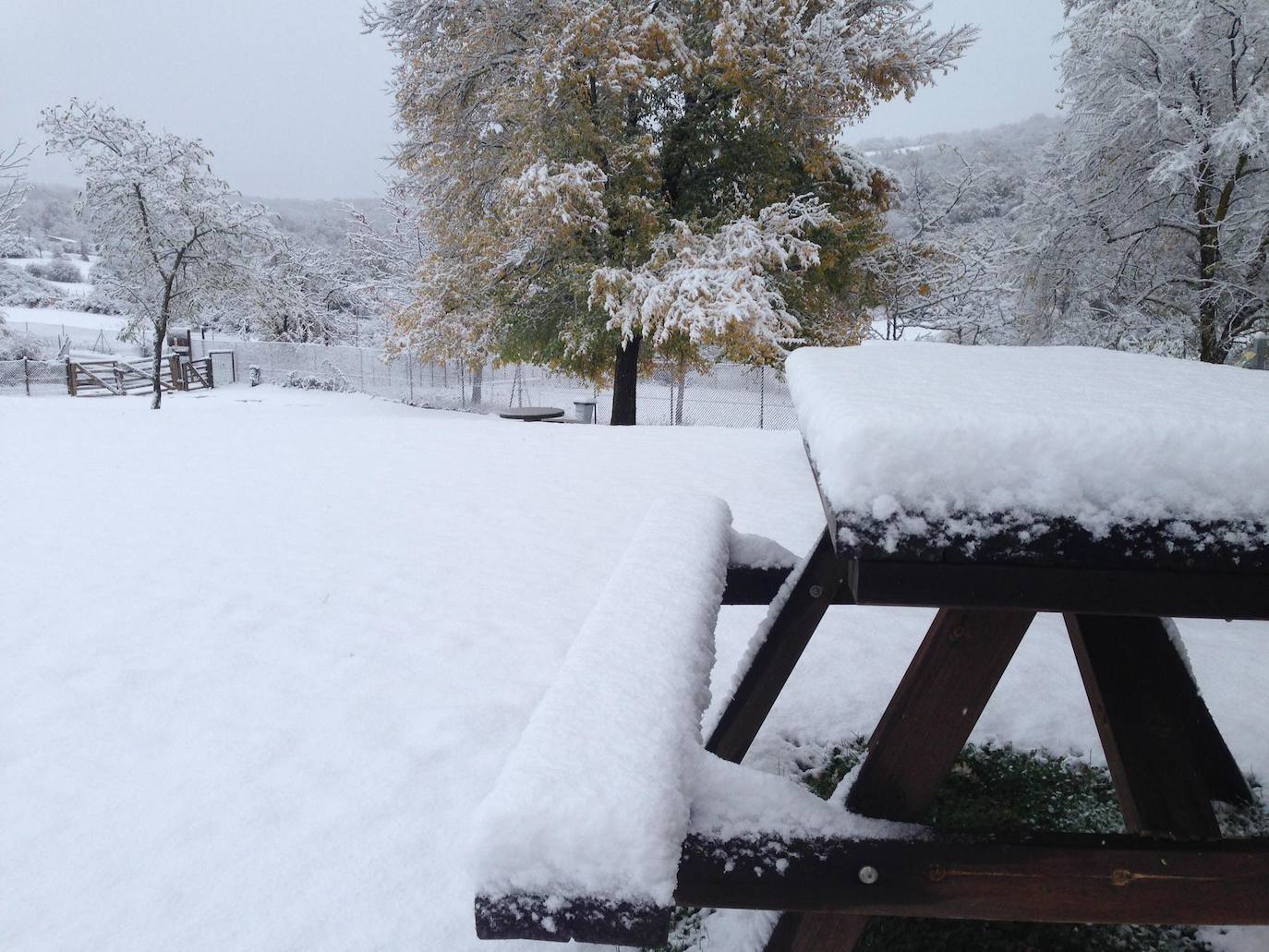 Los Cameros han amanecido esta mañana con una capa de nieve de entre 10 y 15 centímetros. Un paisaje blanco que ha dejado algunas de las primeras imágenes invernales de esta temporada y, no cabe duda, estampas muy bonitas