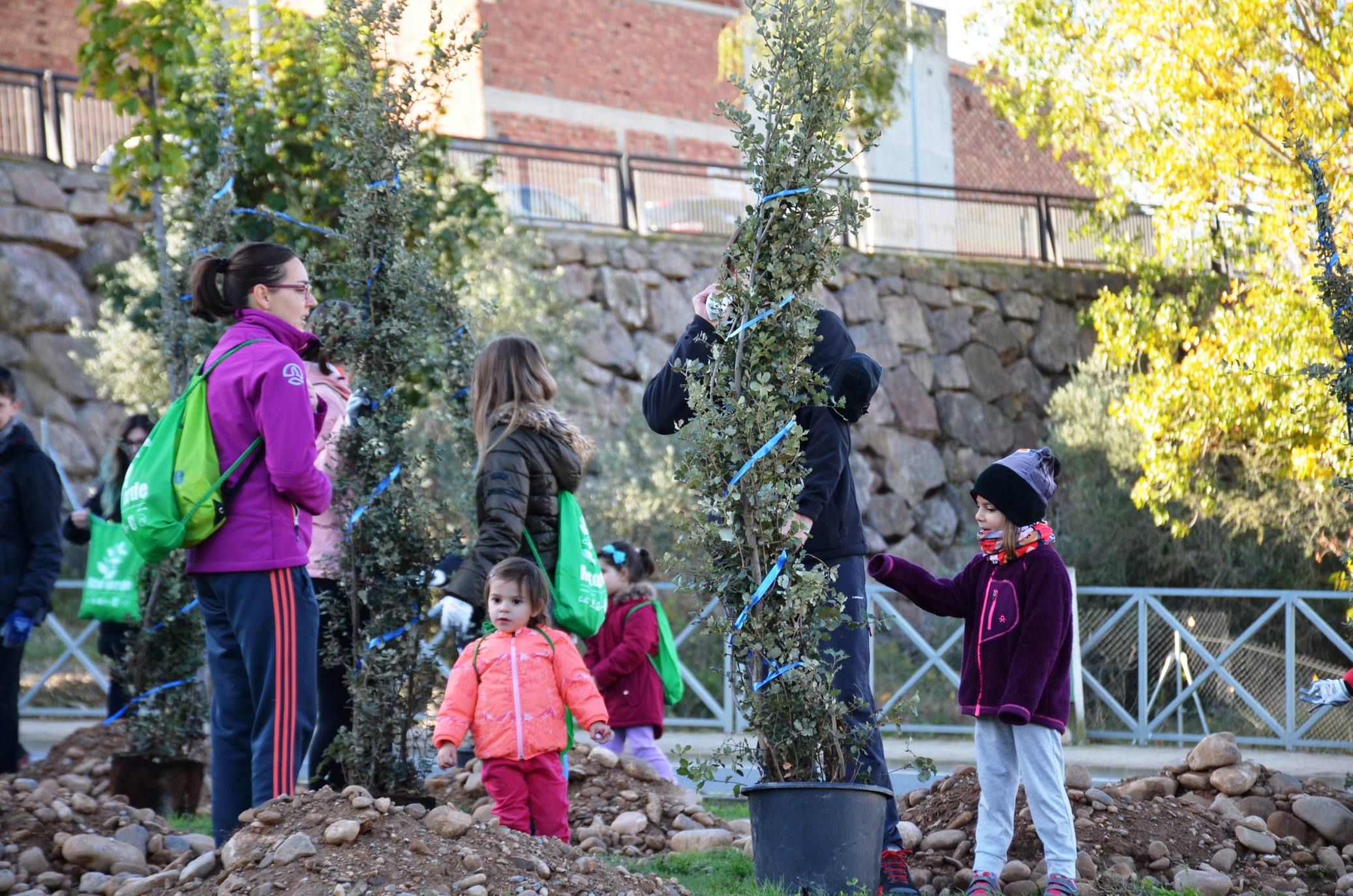 Numerosos grupos de amigos y familias plantaron los árboles en una ladera de la carretera de Murillo