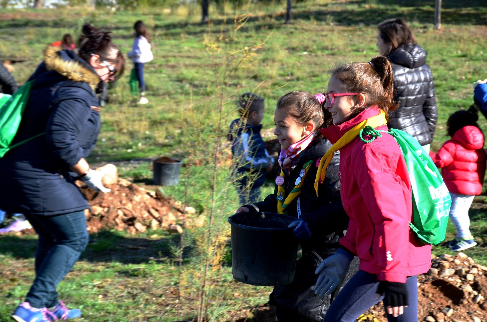 Numerosos grupos de amigos y familias plantaron los árboles en una ladera de la carretera de Murillo