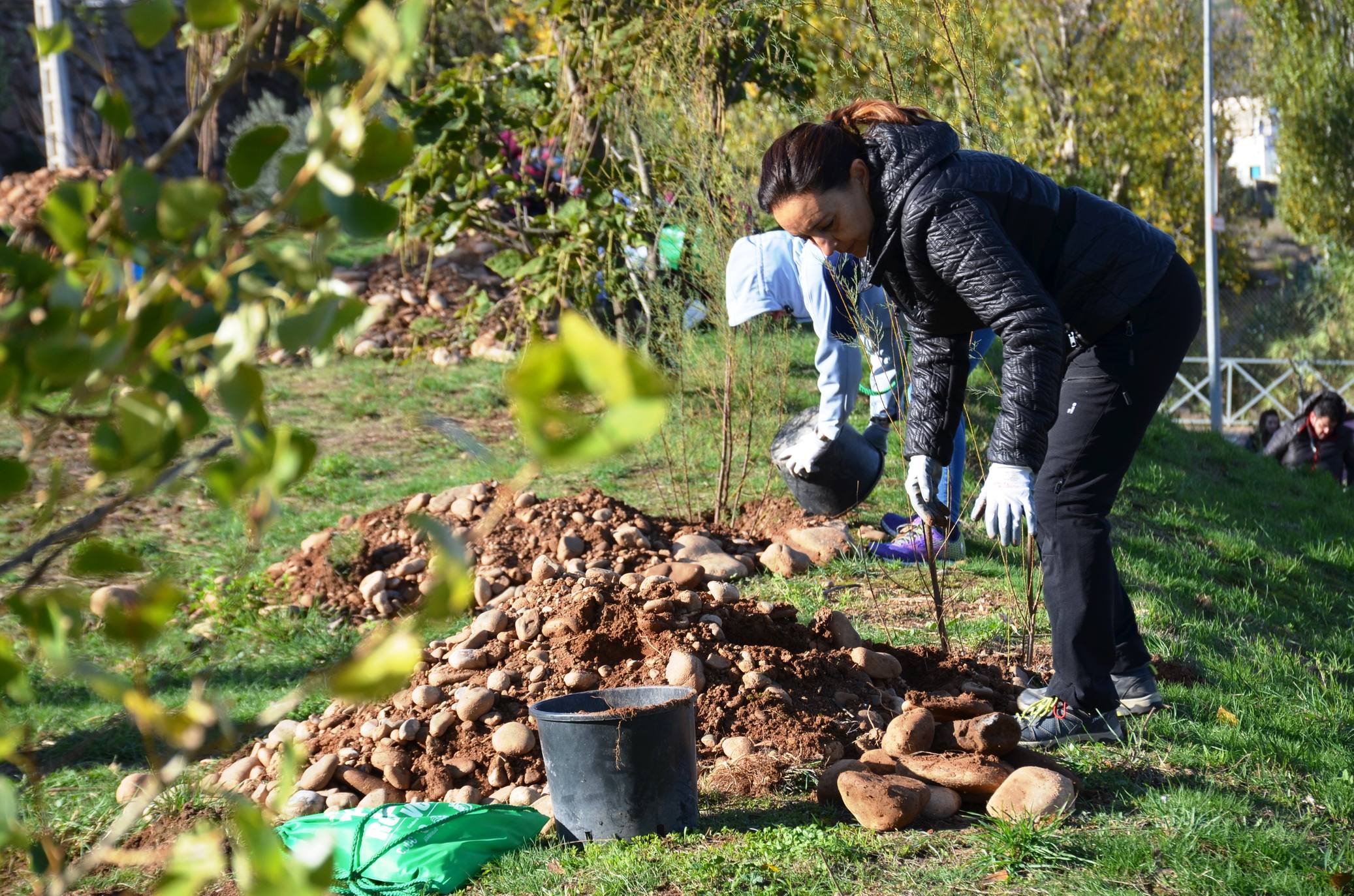 Numerosos grupos de amigos y familias plantaron los árboles en una ladera de la carretera de Murillo