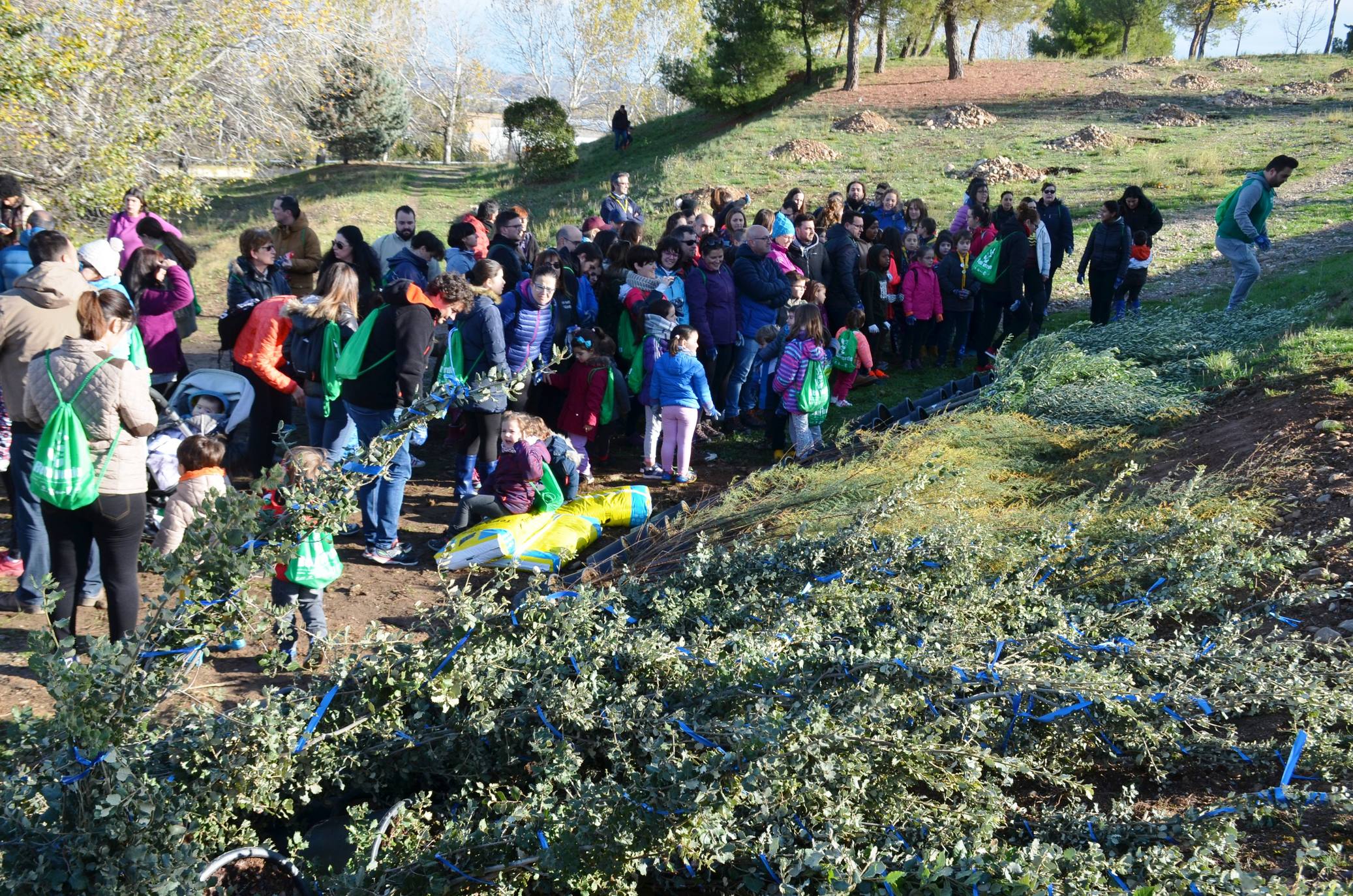Numerosos grupos de amigos y familias plantaron los árboles en una ladera de la carretera de Murillo