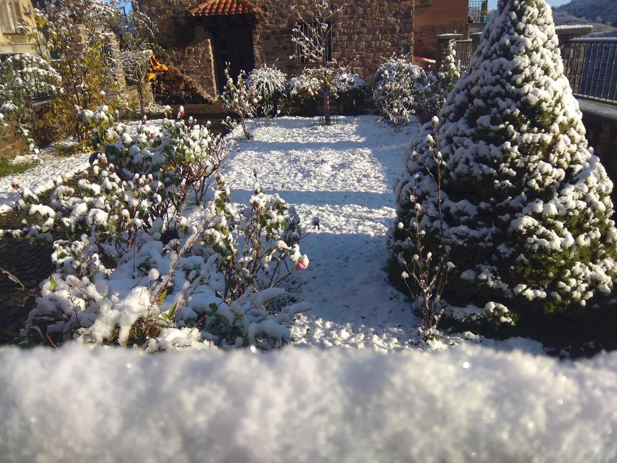 Los Cameros de La Rioja llevan desde hace una semana llenos de nieve que está dejando unas hermosas imágenes que nos anticipan la llegada de la Navidad. Este jueves, en Laguna de Cameros, el monte ha lucido blanco y puro pero sobre todo con mucho brillo gracias al efecto del sol