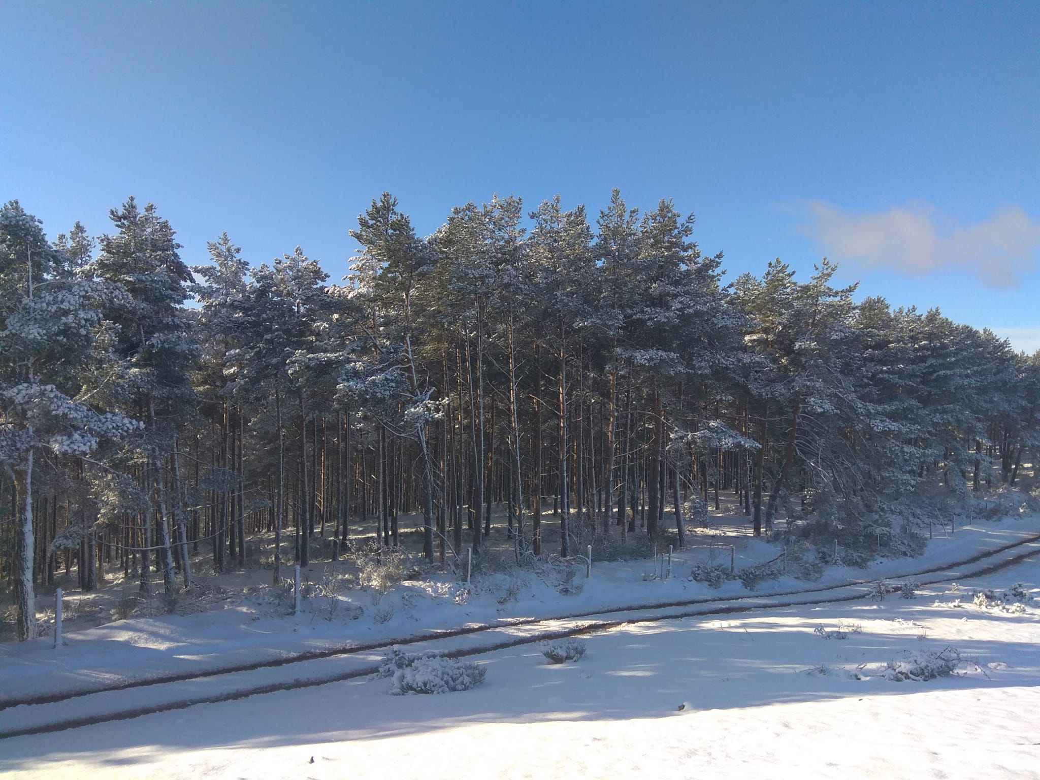 Los Cameros de La Rioja llevan desde hace una semana llenos de nieve que está dejando unas hermosas imágenes que nos anticipan la llegada de la Navidad. Este jueves, en Laguna de Cameros, el monte ha lucido blanco y puro pero sobre todo con mucho brillo gracias al efecto del sol