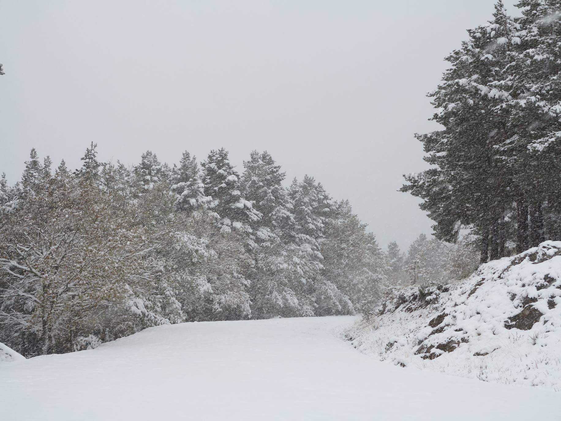 Fotos: Nieve en El Rasillo