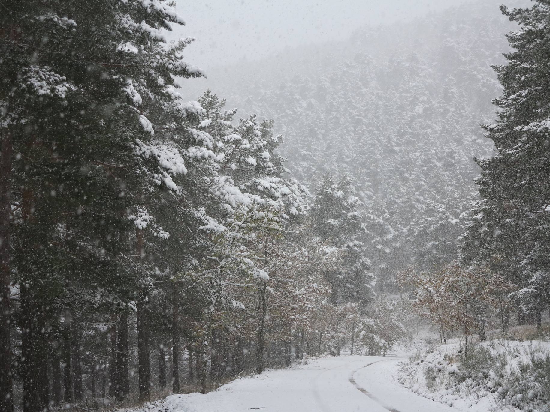 Fotos: Nieve en El Rasillo