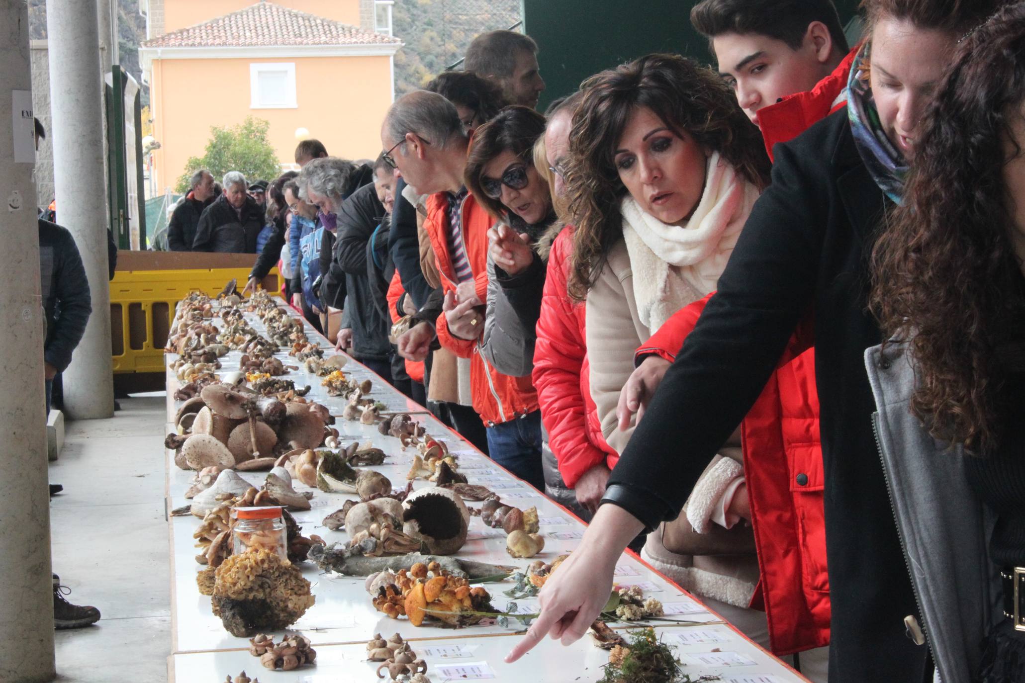 Cientos de personas se han acercado a la localidad riojabajeña. 