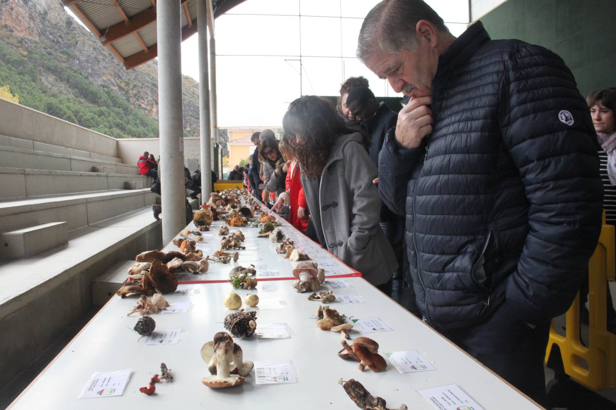 Cientos de personas se han acercado a la localidad riojabajeña. 