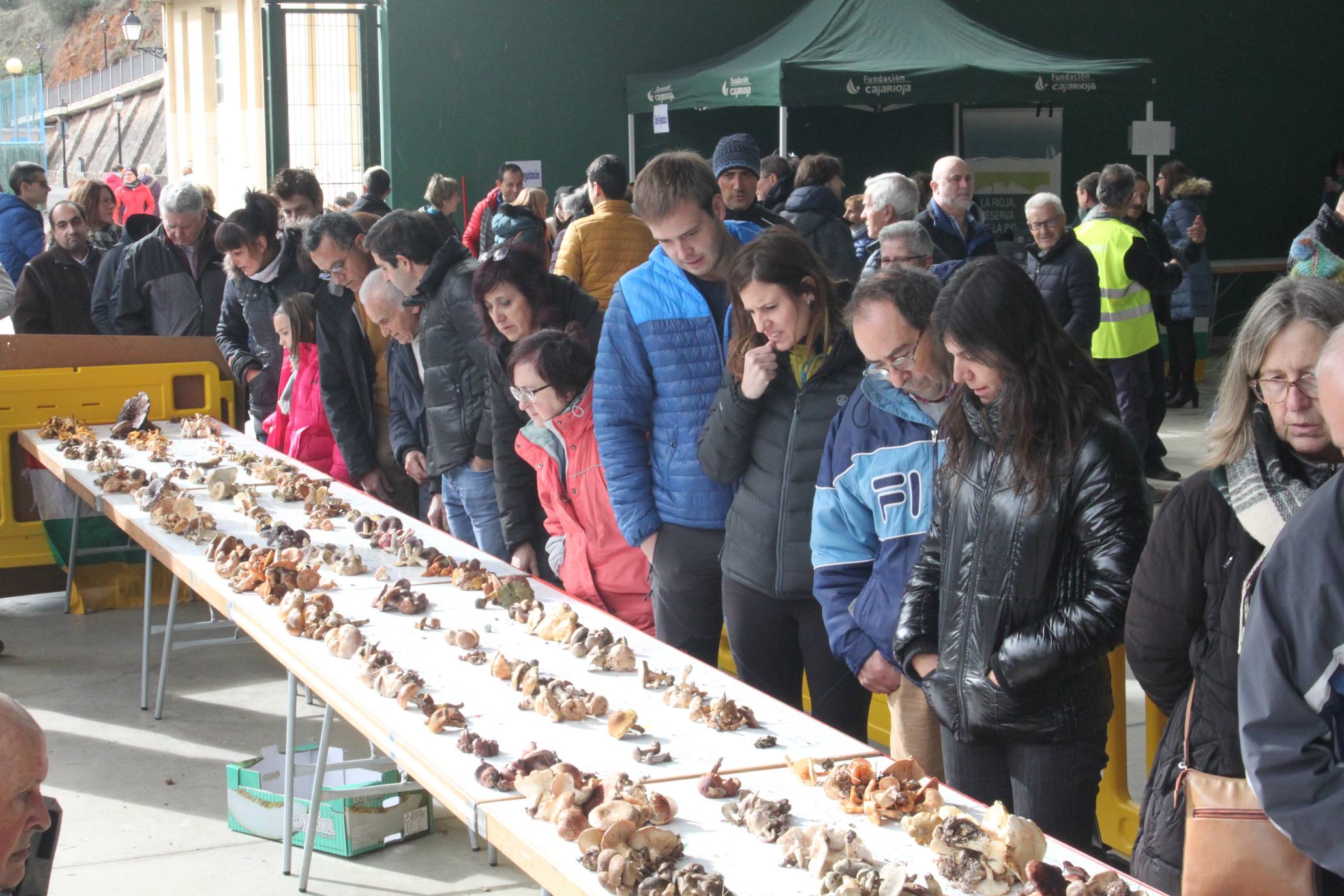 Cientos de personas se han acercado a la localidad riojabajeña. 