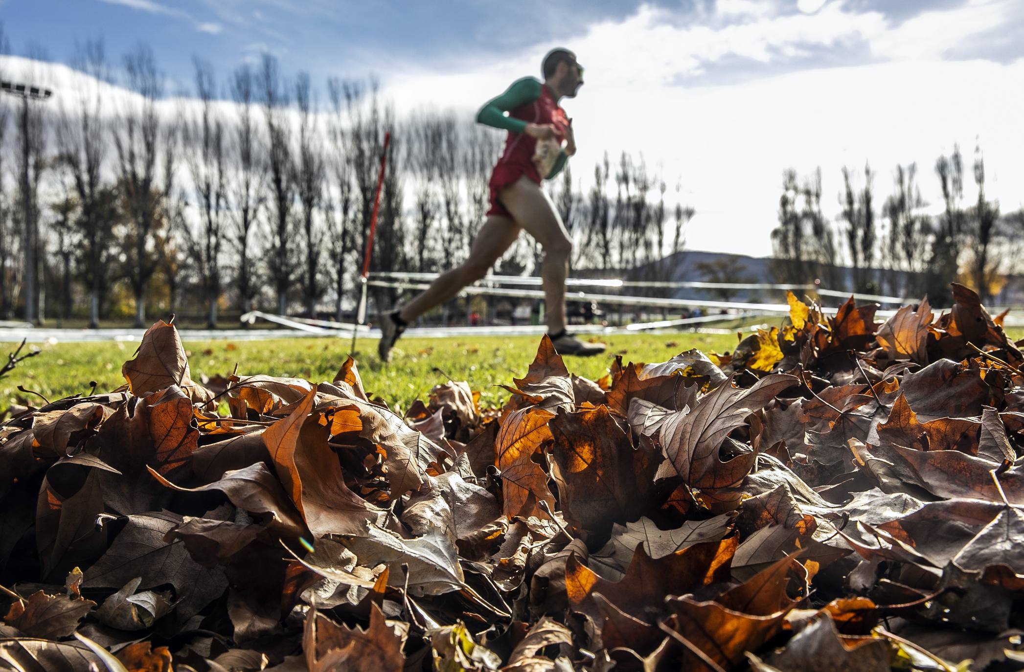 La galería de imágenes de la jornada de Cross en el municipio lo resume todo: mucho ambiente, risas y ejercicio físico en un día muy especial para todos los pequeños guerreros