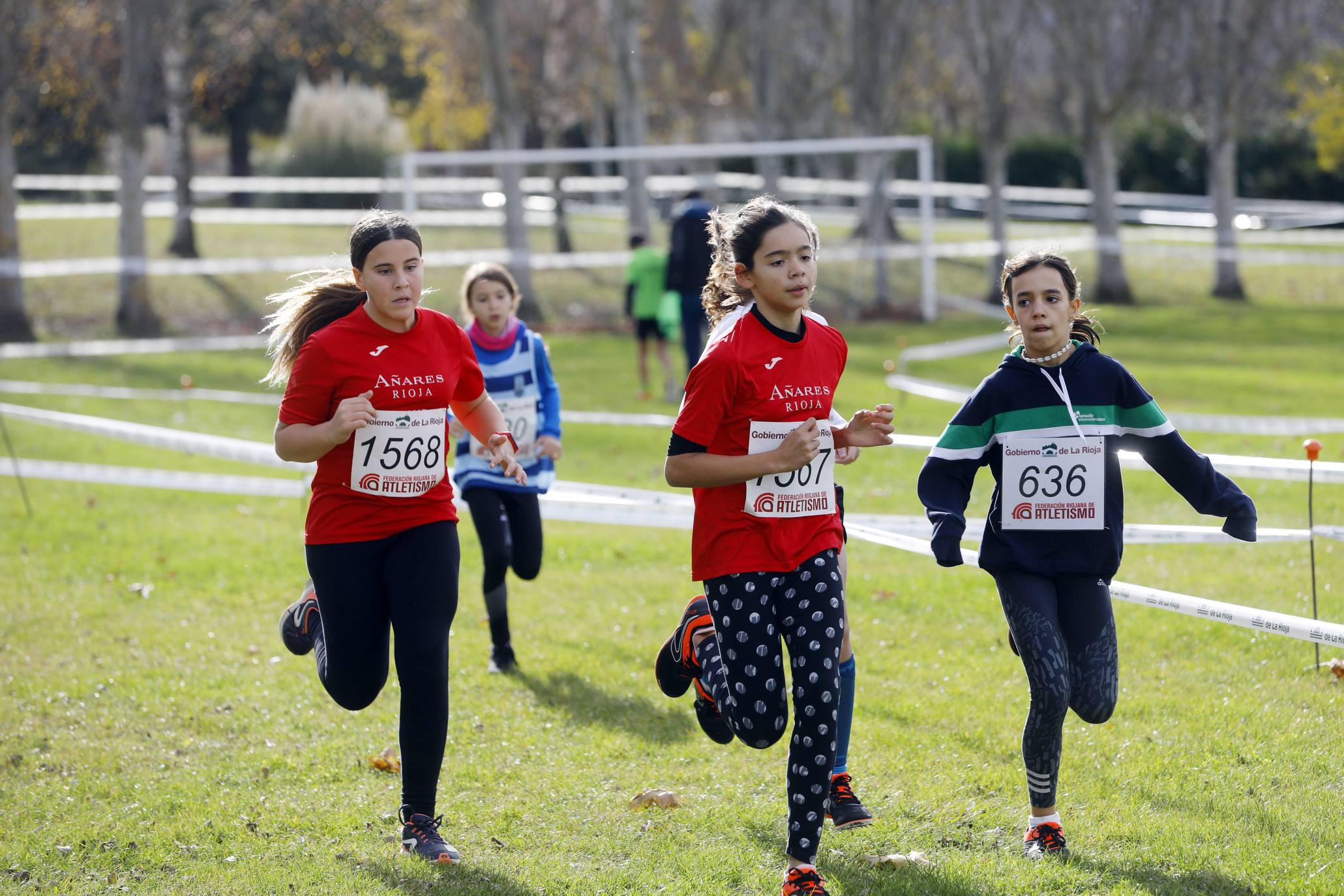 La galería de imágenes de la jornada de Cross en el municipio lo resume todo: mucho ambiente, risas y ejercicio físico en un día muy especial para todos los pequeños guerreros