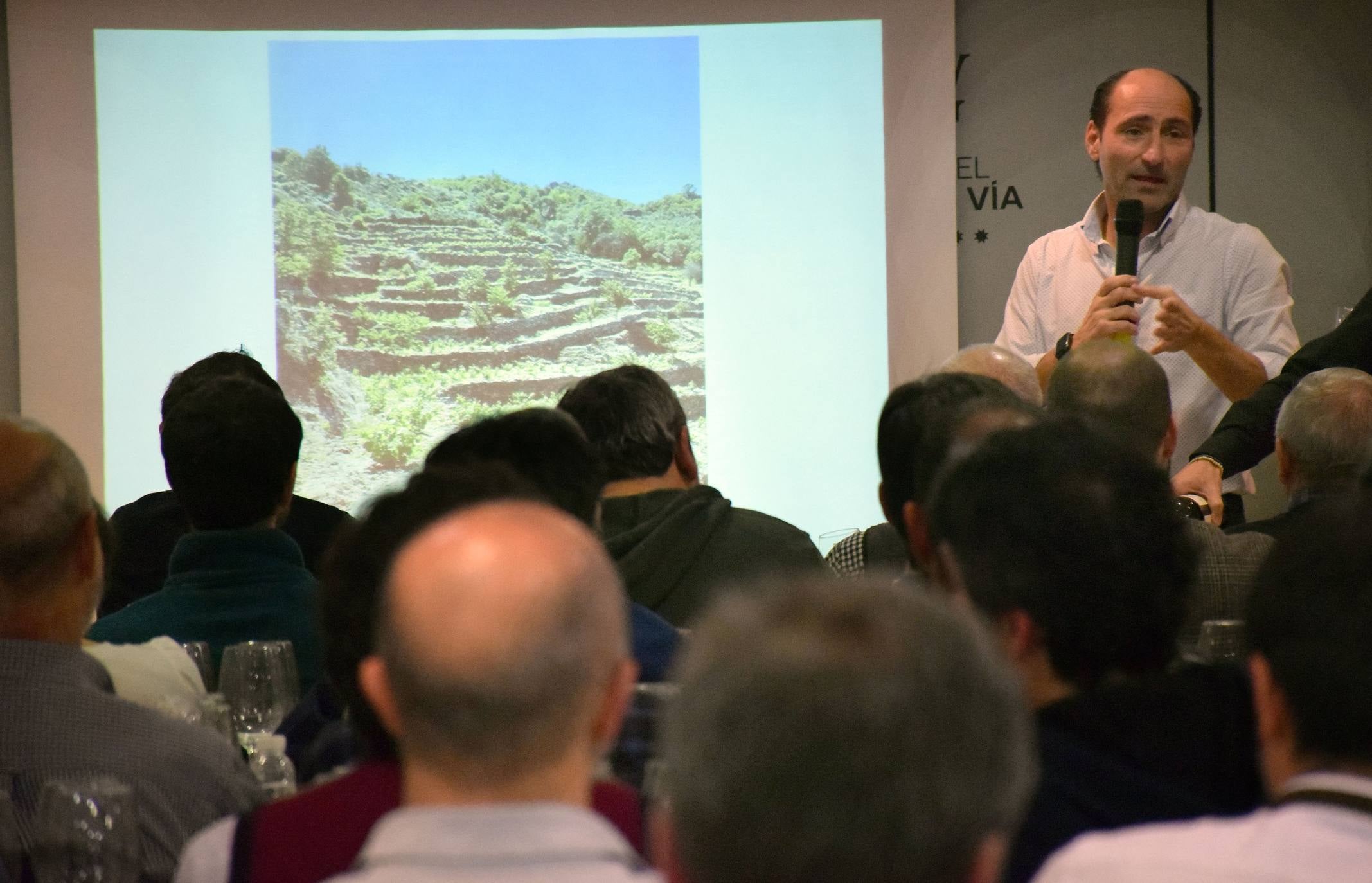 Pablo Eguzquiza, socio de la Compañía de Vinos de Telmo Rodríguez, presentó anoche en una espectacular cata una amplia muestra de vinos de pueblo y parcelarios de dos distantes proyectos de la Compañía: Ladeiras do Xil (Valdeorras), junto con las de Bodegas Lanzaga (Lanciego, Rioja). 