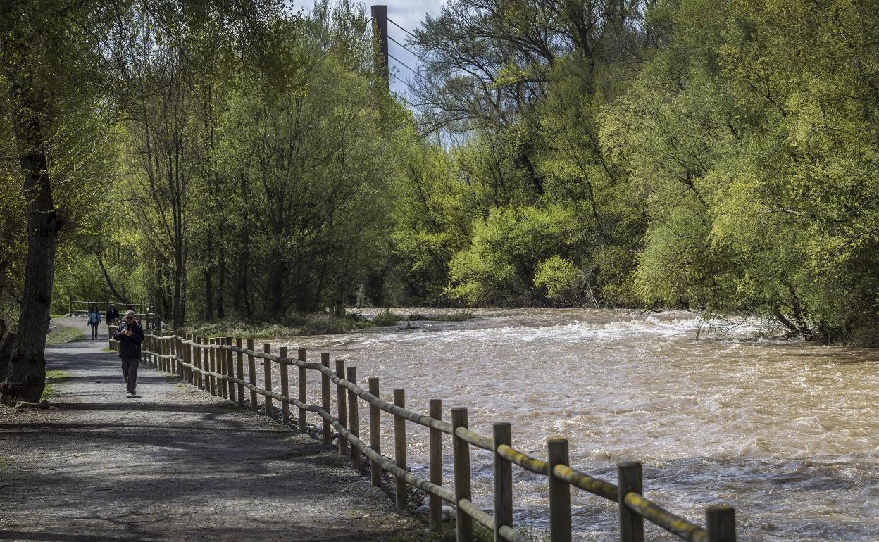 Crecida en el río Iregua.