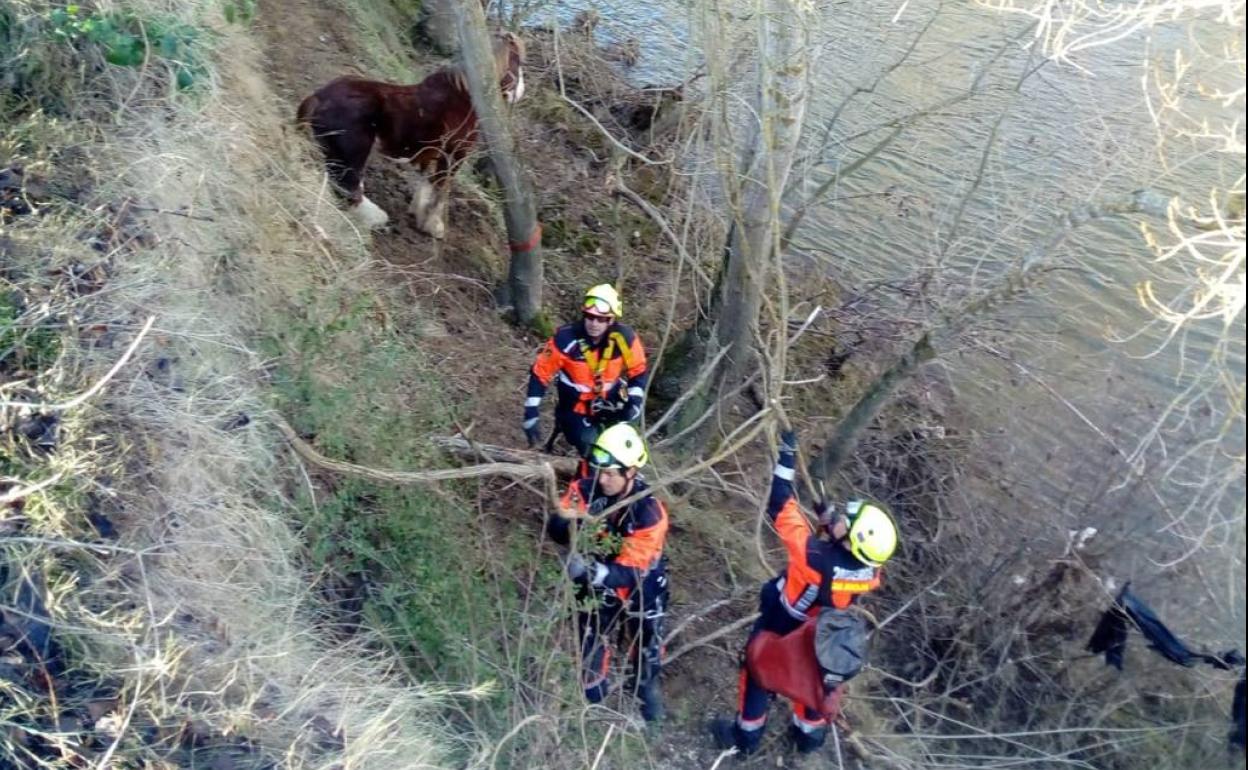 Rescatado un caballo que había caído a un terraplén en Briones