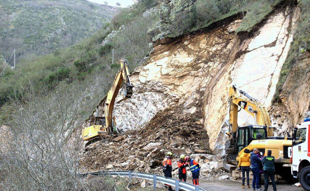 Lugar del accidente en la LR-113. 