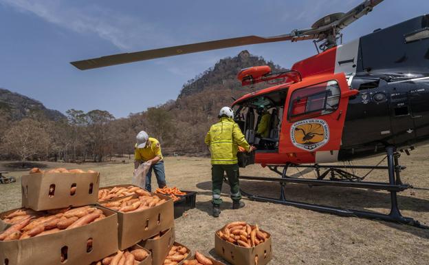 Reparto de alimentos para los animales en los espacios naturales afectados por las llamas.