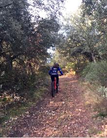 Imagen secundaria 2 - Viñedos y olivares entre El Villar y Tudelilla, imagen de esta última localidad y camino en el carrascal. 