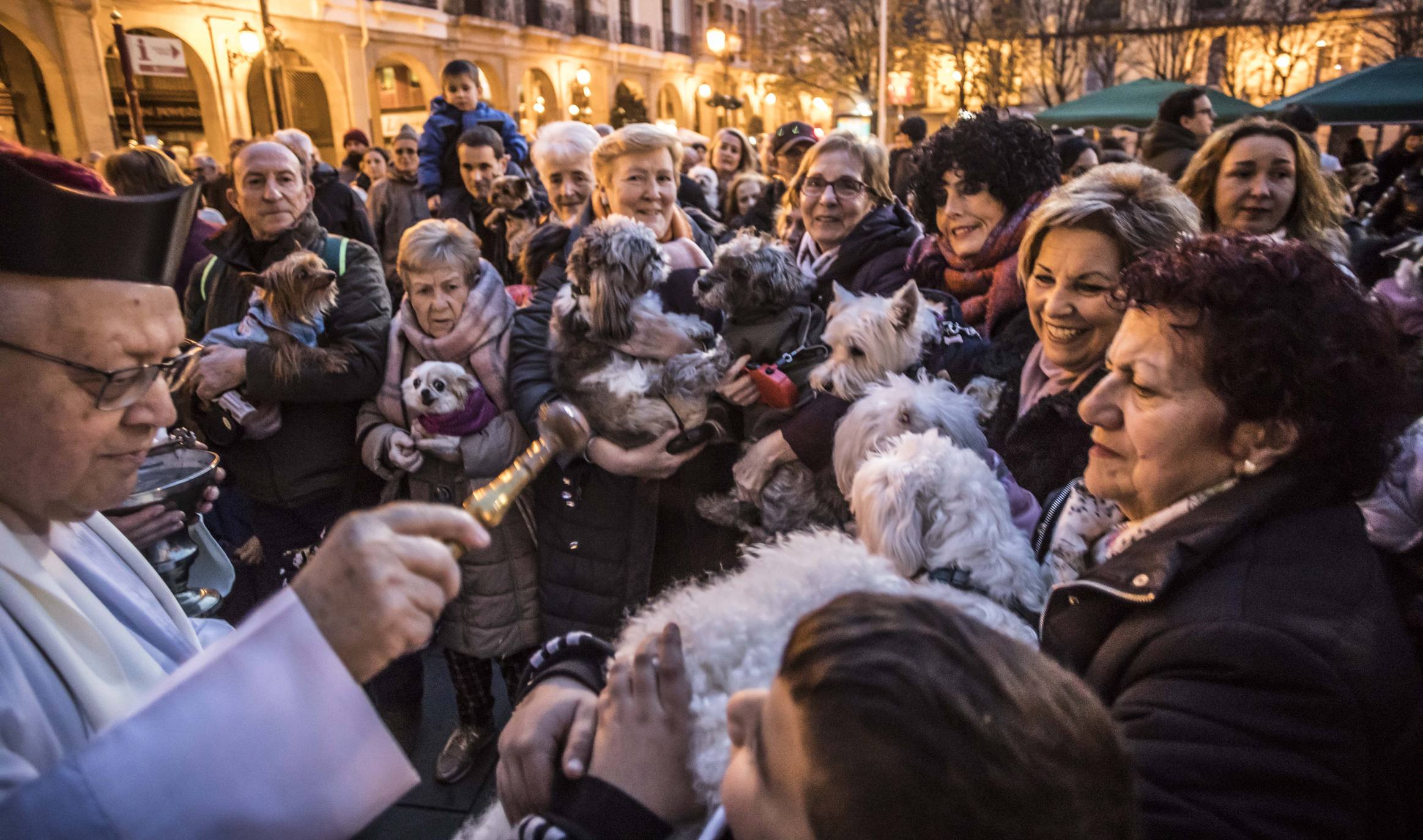 Bendición de los animales en Logroño en el día de San Antón