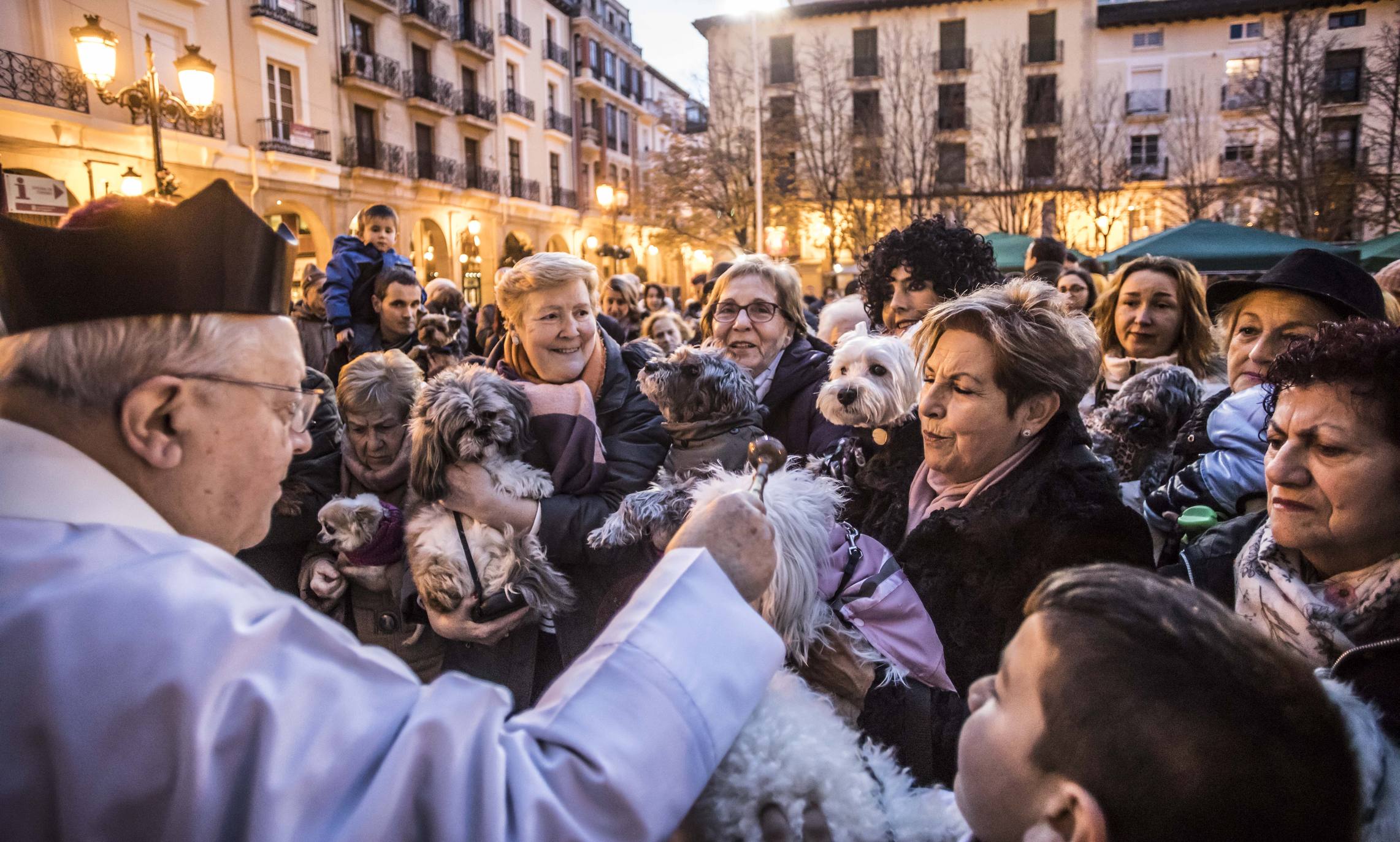 Bendición de los animales en Logroño en el día de San Antón