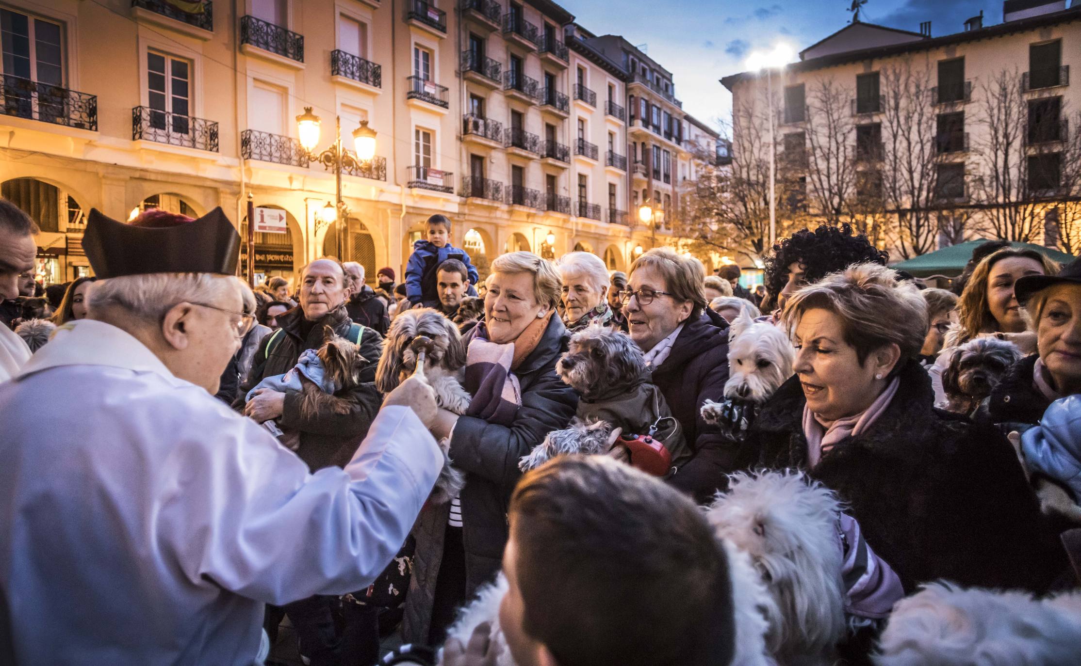 Bendición de los animales en Logroño en el día de San Antón