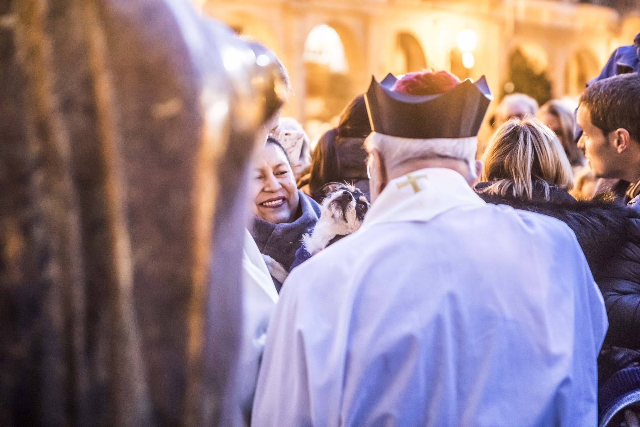 Bendición de los animales en Logroño en el día de San Antón