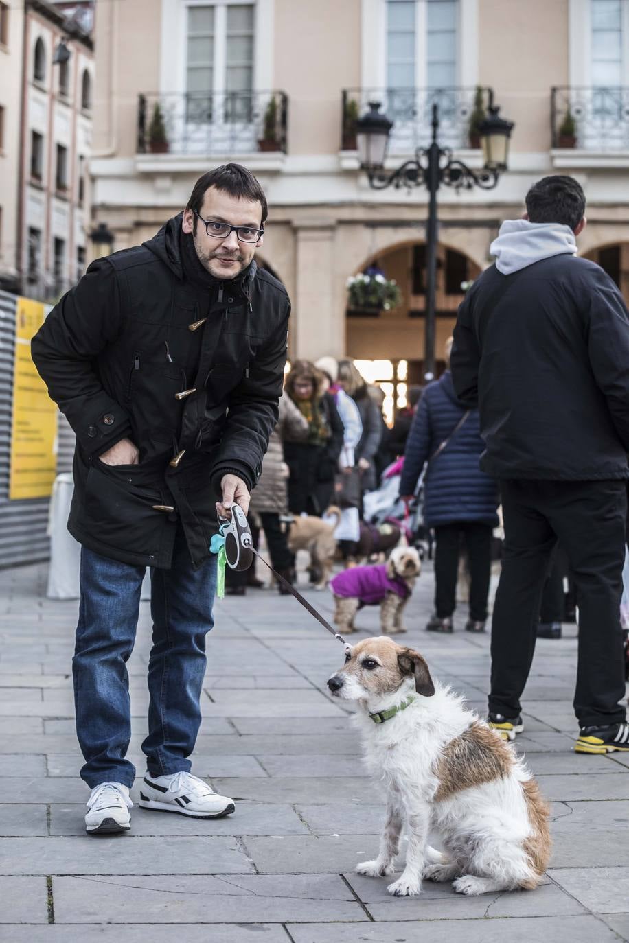 Bendición de los animales en Logroño en el día de San Antón