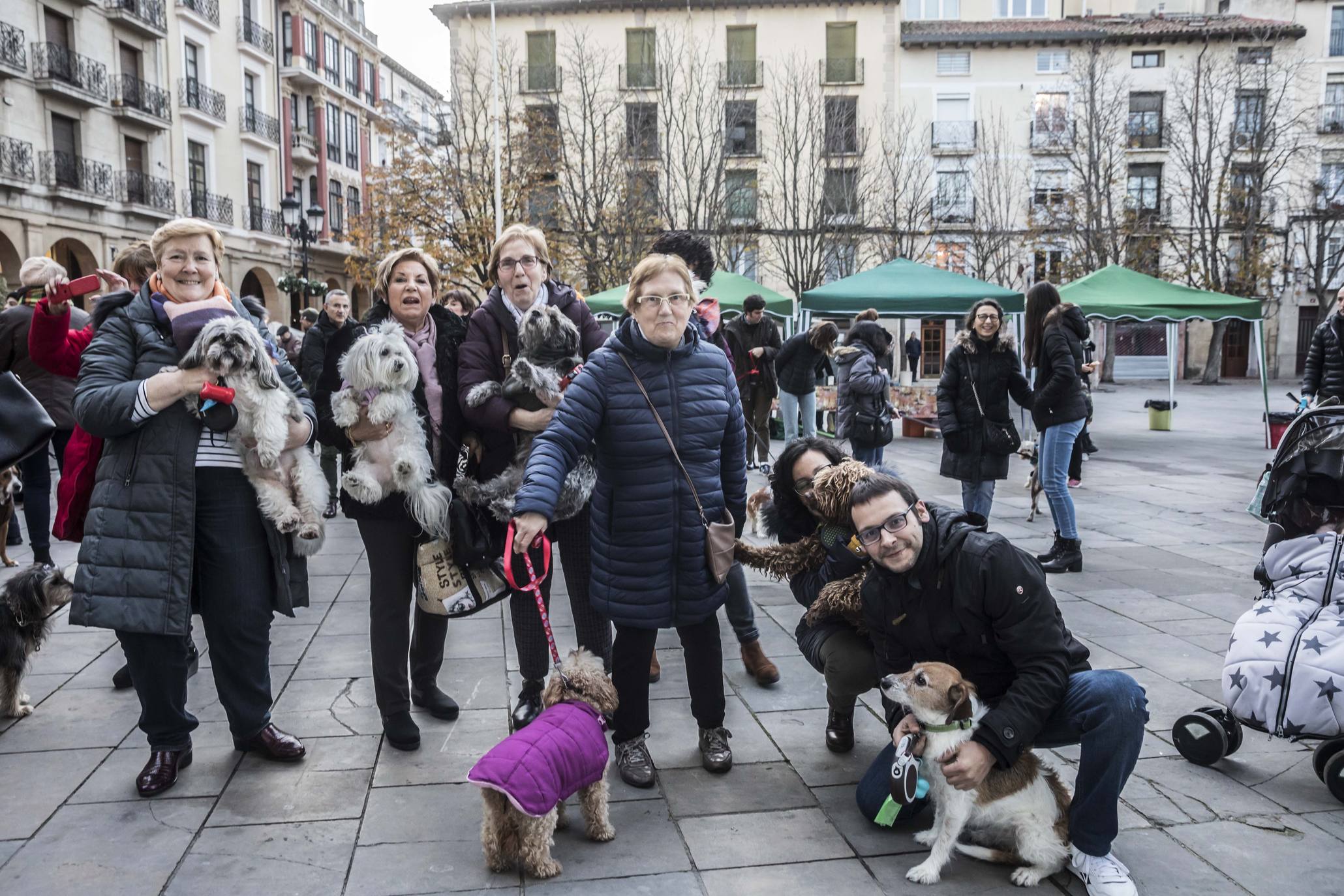 Bendición de los animales en Logroño en el día de San Antón