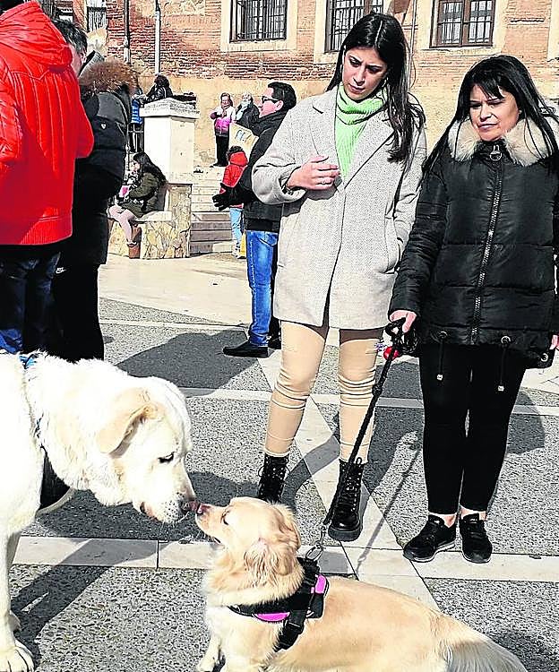 Cada 'oveja' con su pareja
